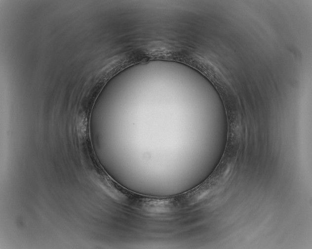 X0000112370081200908271327