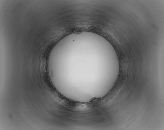 X0000112370083200908271327