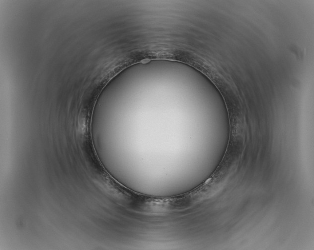 X0000112370084200908271327