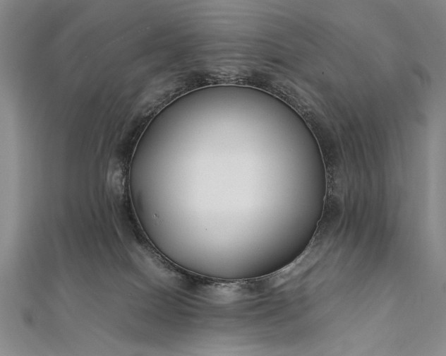 X0000112370086200908271327