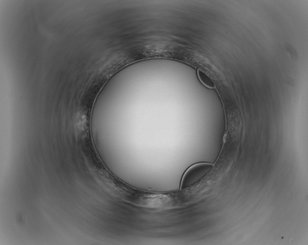 X0000112370087200908271327