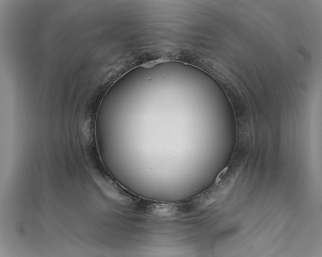 X0000112370088200908271327