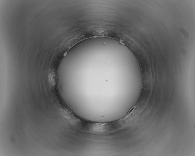 X0000112370090200908271327