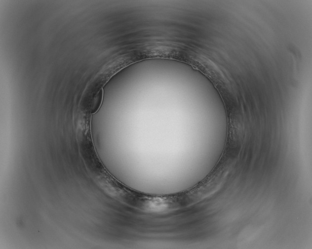 X0000112370091200908271327