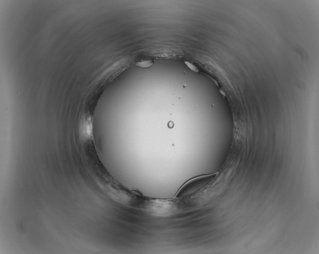 X0000112370095200908271327