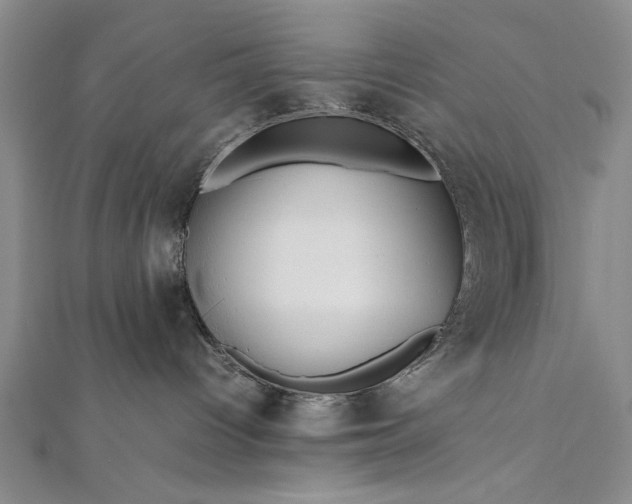 X0000112370096200908271327