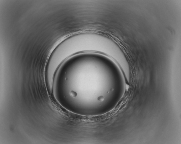 X0000112370100200908271327