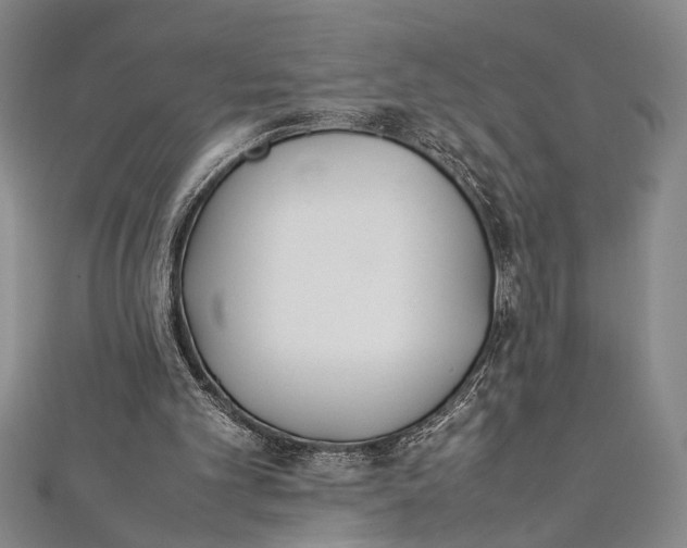 X0000112370101200908271327