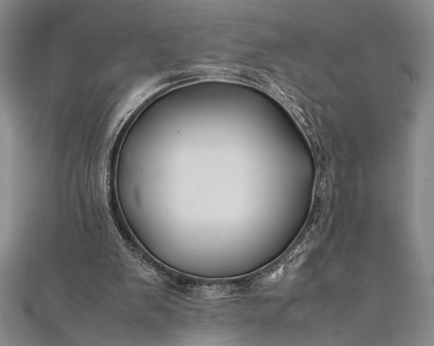 X0000112370103200908271326