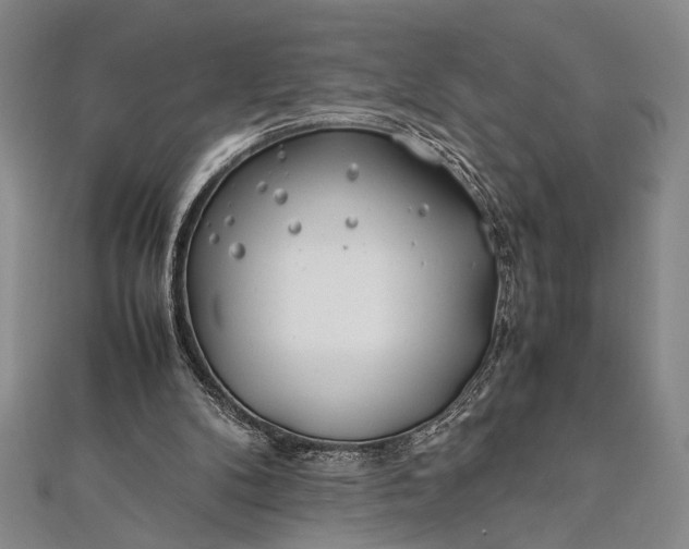 X0000112370104200908271326