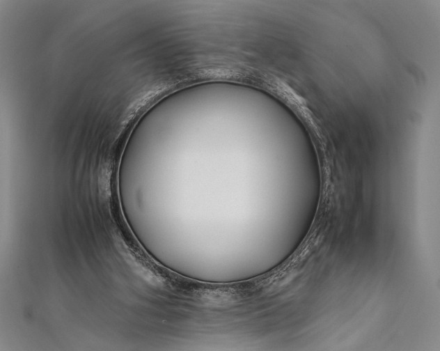 X0000112370106200908271326