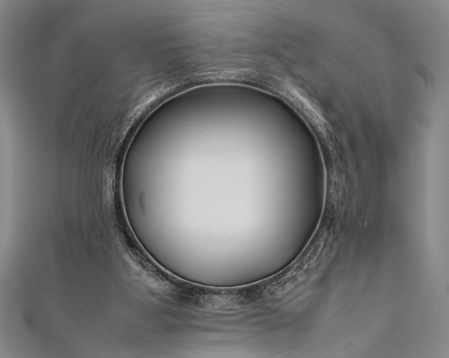 X0000112370107200908271326