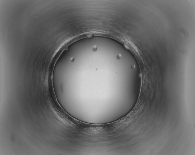 X0000112370108200908271326