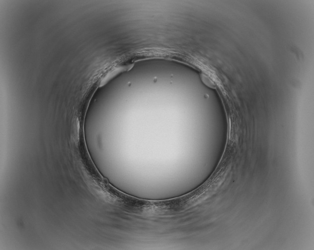 X0000112370109200908271326