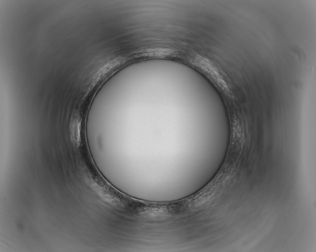 X0000112370110200908271326