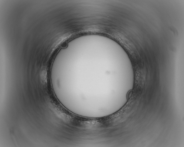 X0000112370112200908271326