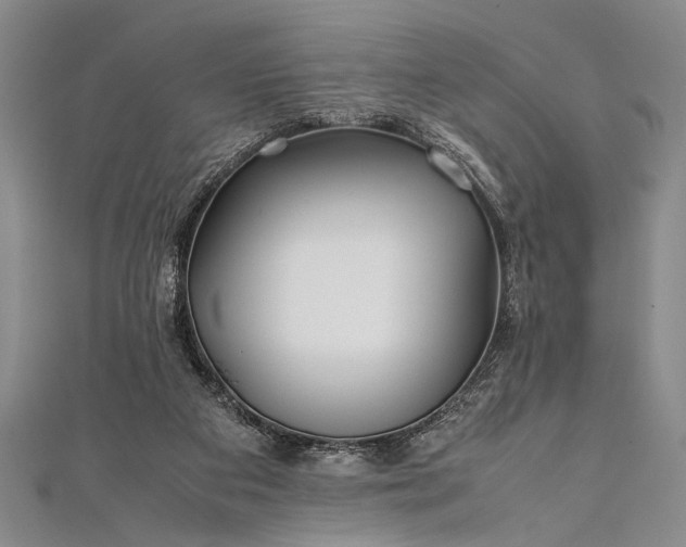 X0000112370113200908271326