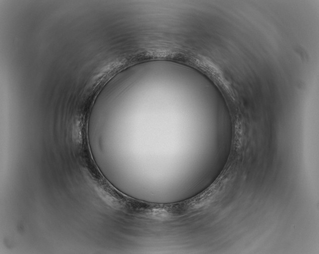 X0000112370114200908271326