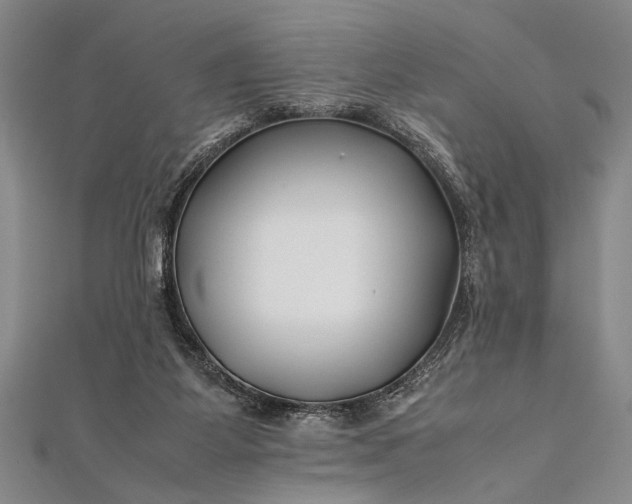 X0000112370115200908271326