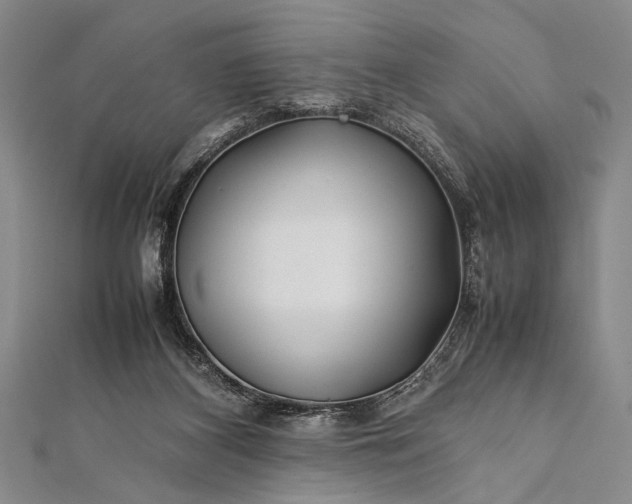 X0000112370116200908271326