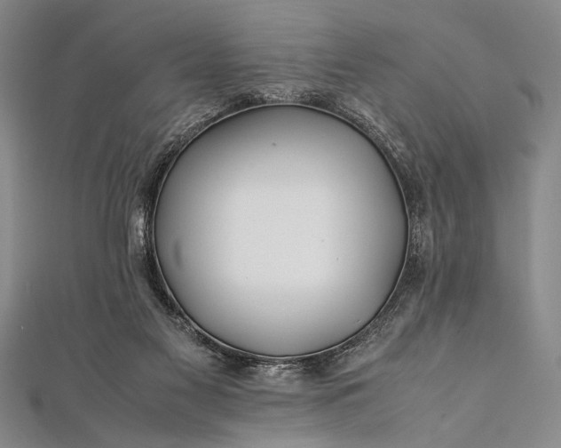 X0000112370117200908271326