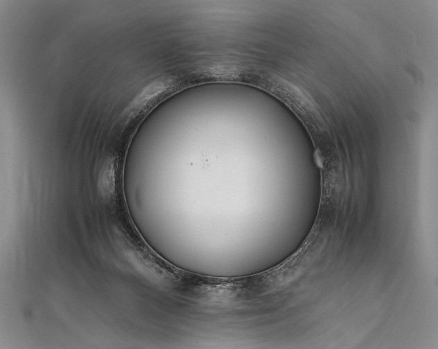 X0000112370120200908271326