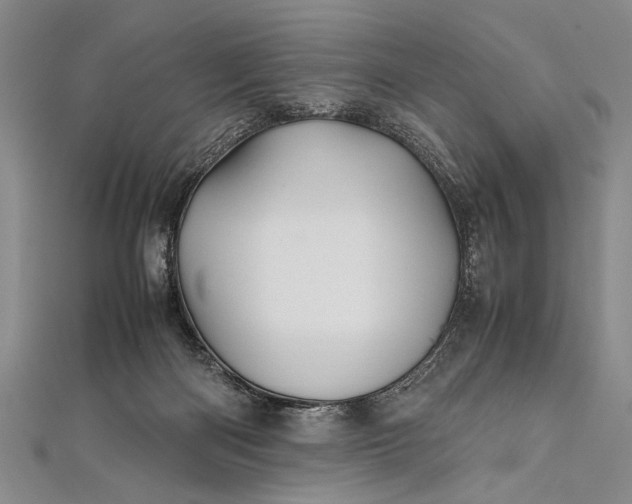 X0000112370122200908271326