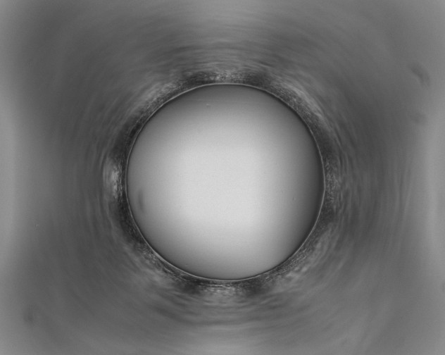 X0000112370123200908271326