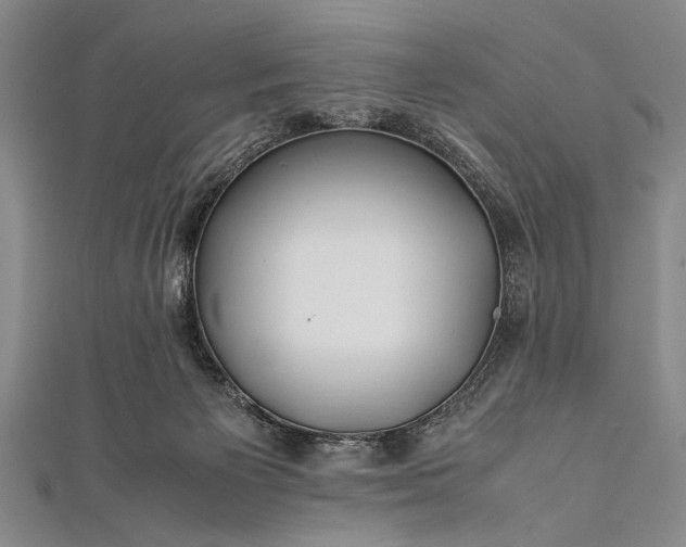 X0000112370125200908271326