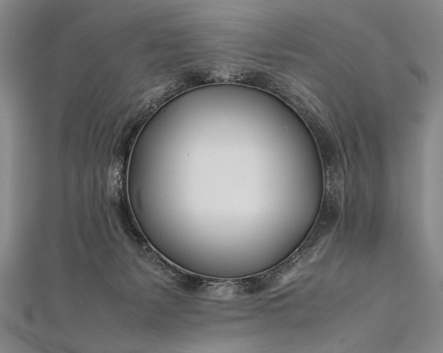 X0000112370127200908271326