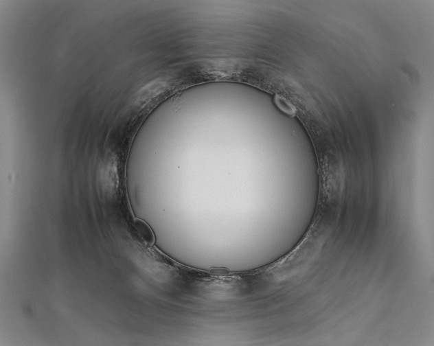 X0000112370128200908271326