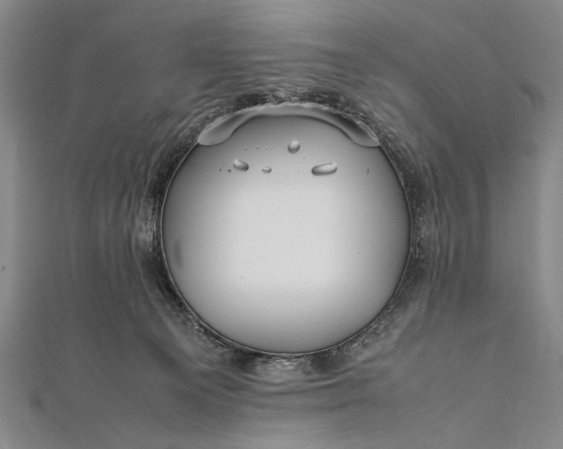 X0000112370129200908271326