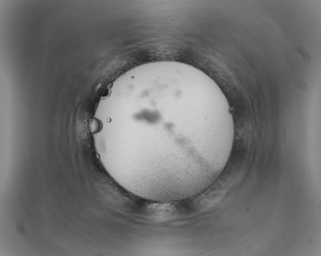 X0000112370133200908271326