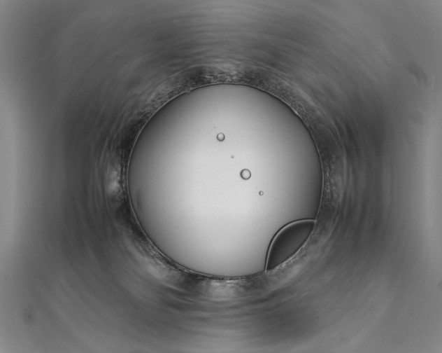 X0000112370134200908271326