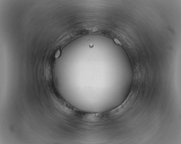 X0000112370136200908271326