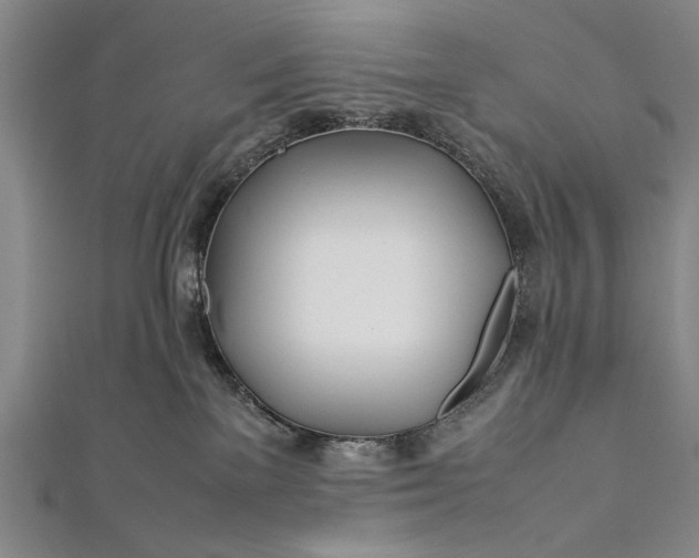 X0000112370137200908271326