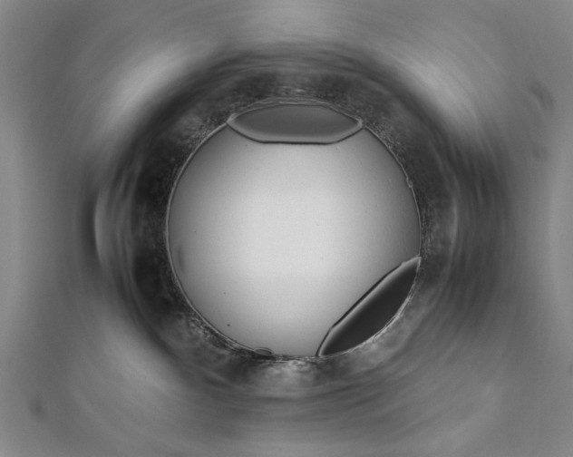 X0000112370140200908271326