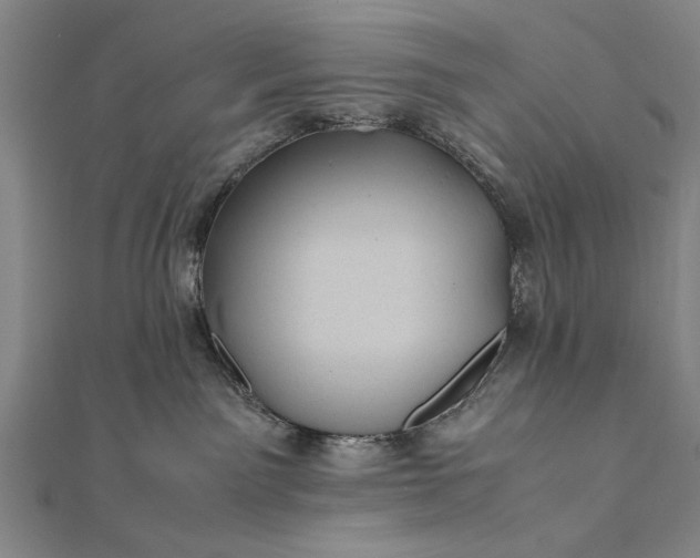 X0000112370141200908271326