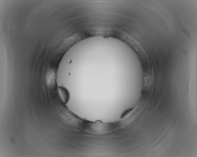 X0000112370142200908271326