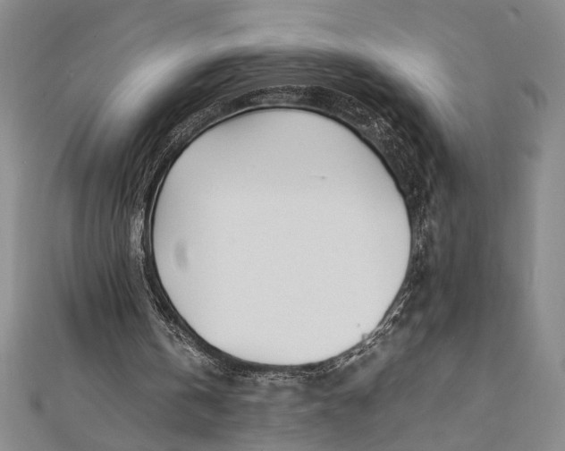 X0000112370146200908271325