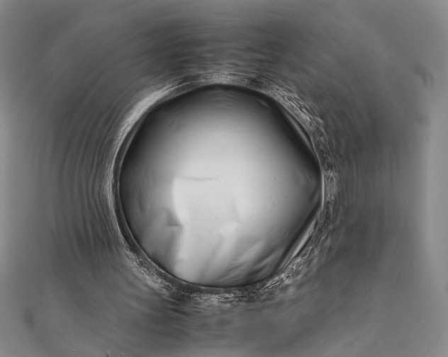 X0000112370147200908271325