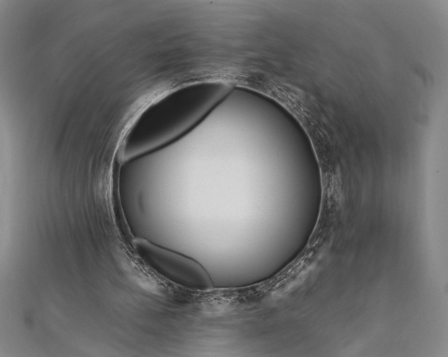 X0000112370148200908271325