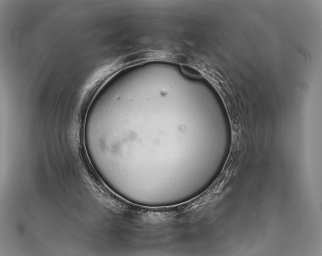 X0000112370149200908271325