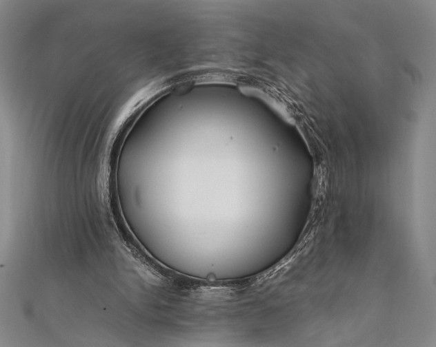 X0000112370150200908271325