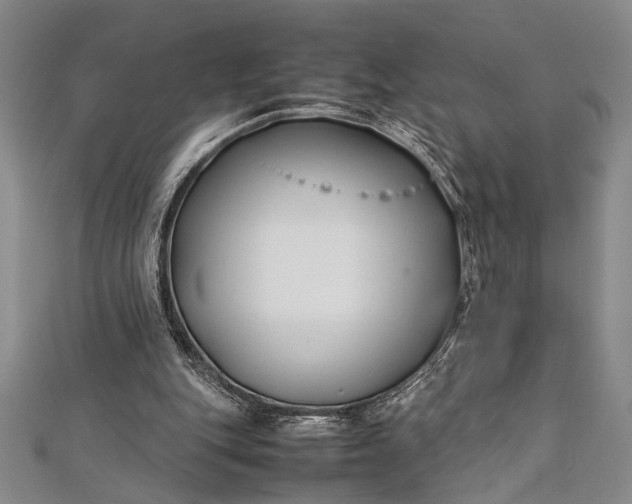 X0000112370151200908271325