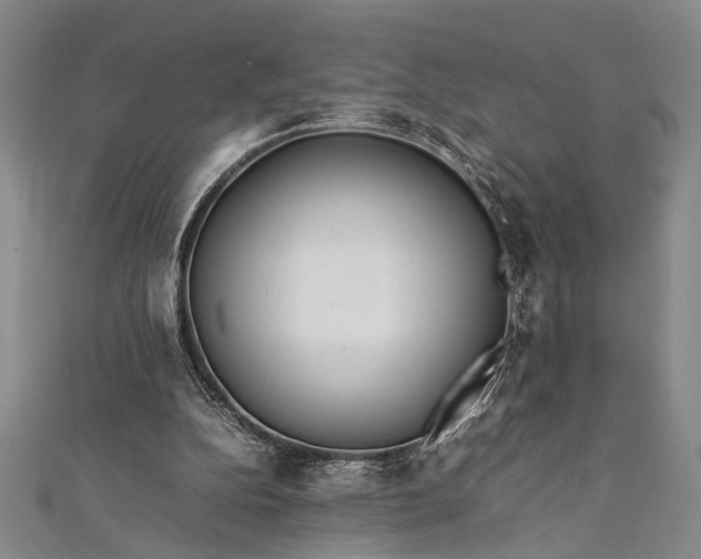 X0000112370152200908271325