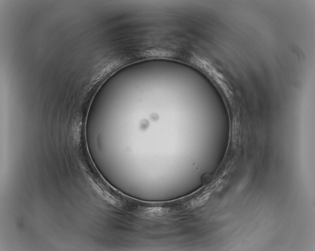 X0000112370153200908271325