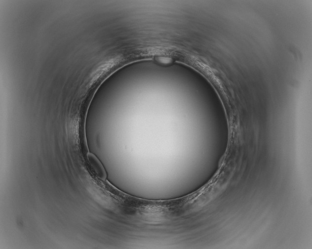 X0000112370154200908271325