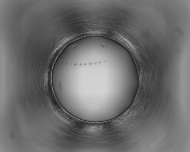 X0000112370155200908271325