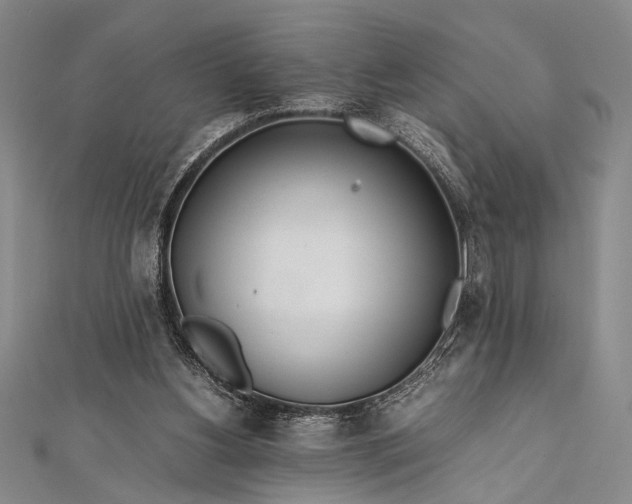 X0000112370156200908271325